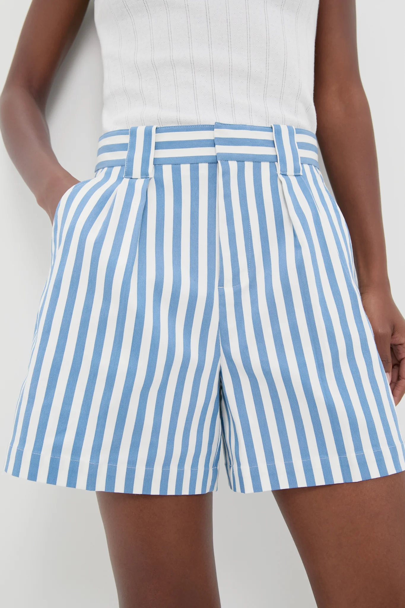 Blue and White Stripe Canvas Briggs Safari Short - Image 5