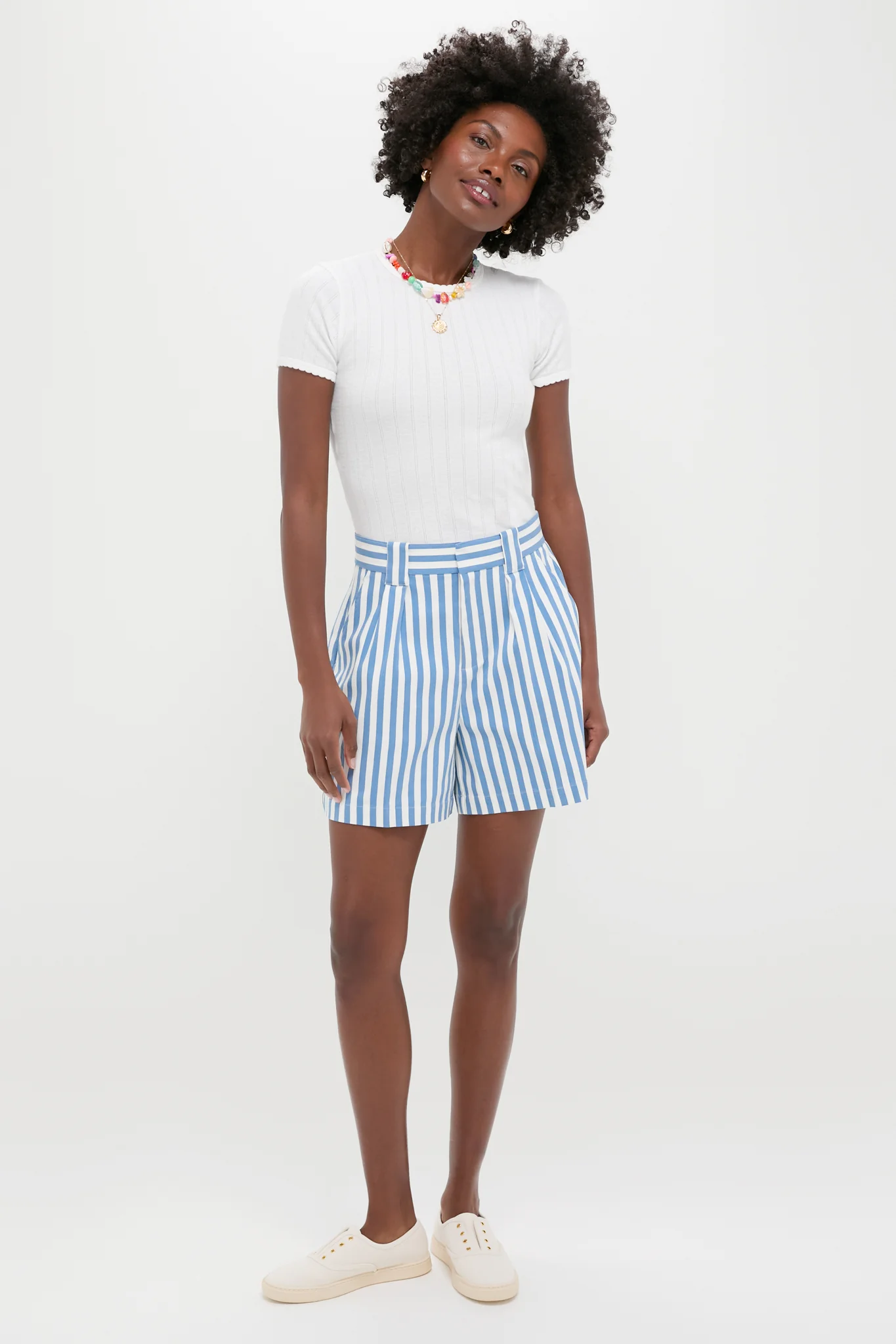 Blue and White Stripe Canvas Briggs Safari Short - Image 6