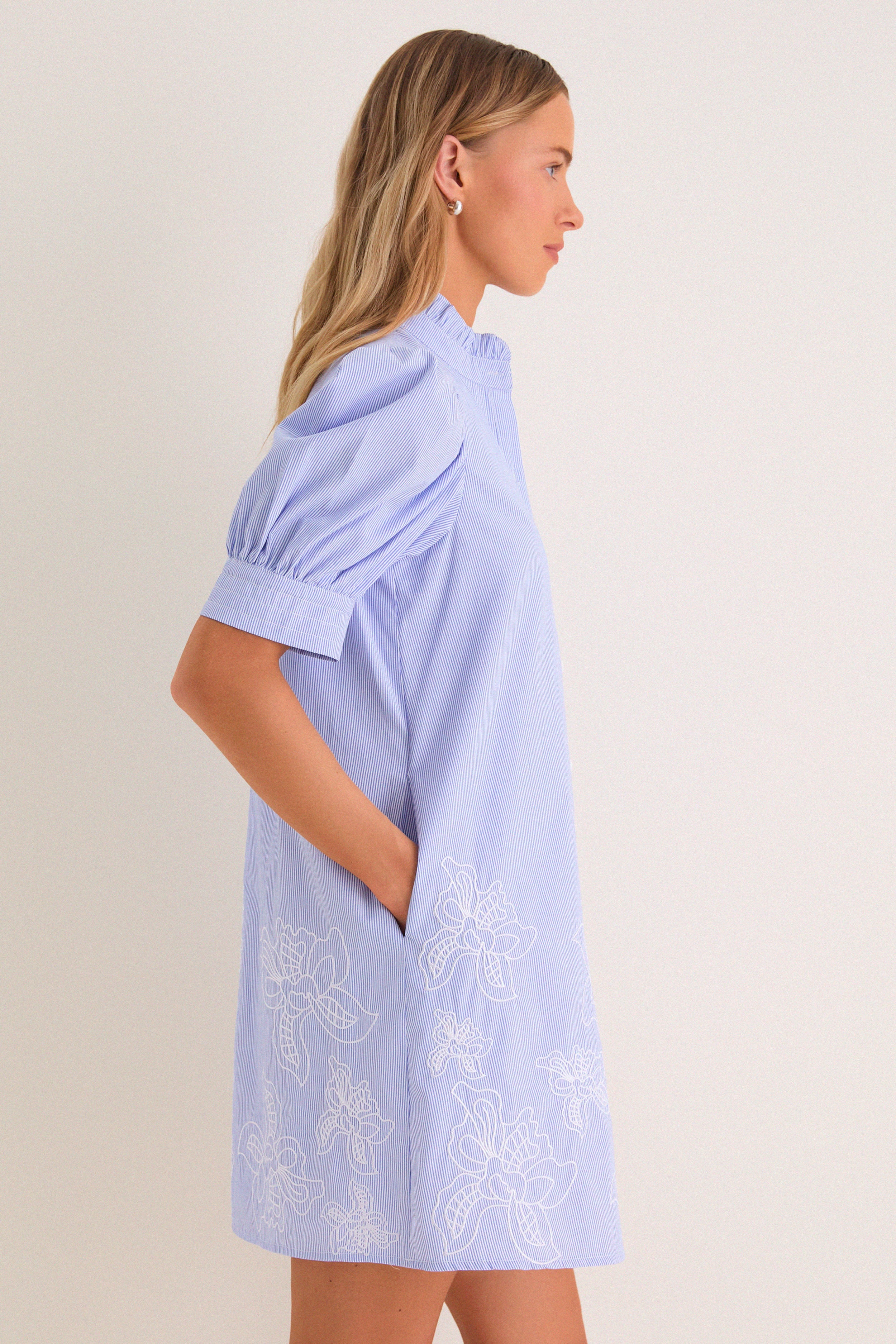 Blue Embroidered Pinstripe Louisa Mini Dress - Image 4