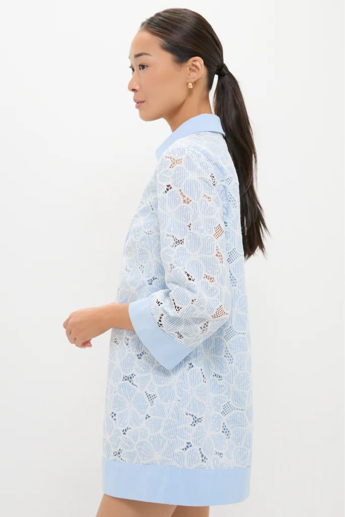 Blue Floral Lace Collier Dress - Image 4