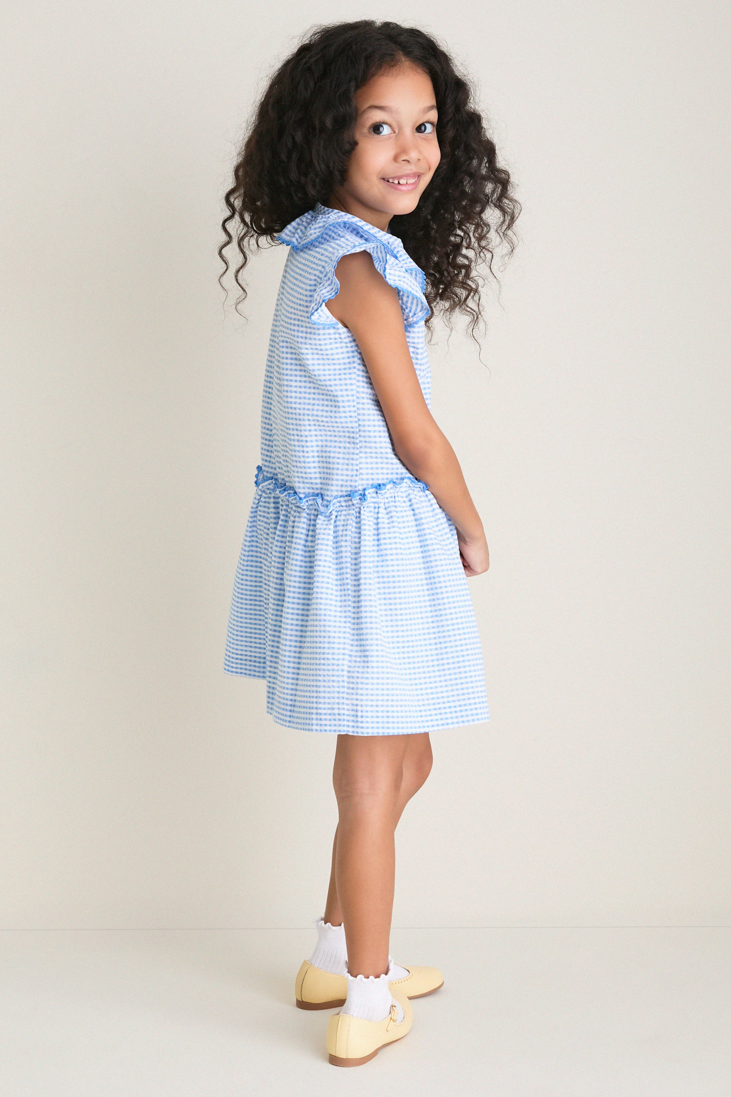 Blue Gingham Fabiola Drop Waist Dress - Image 2