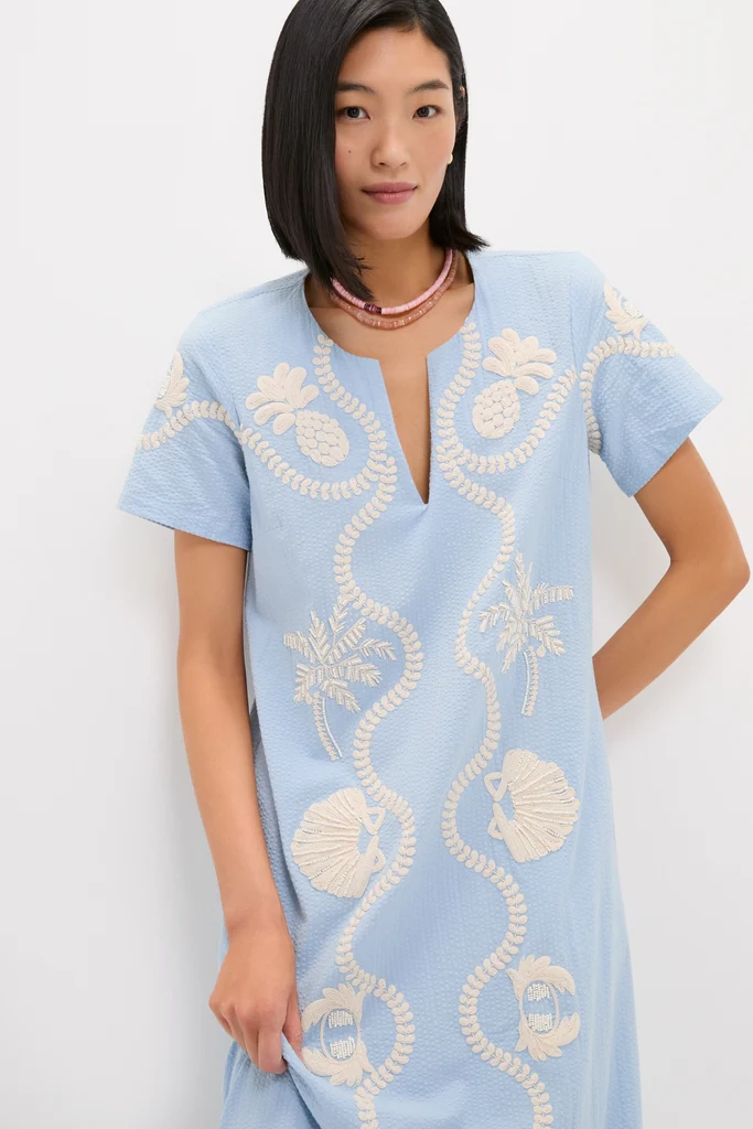 Blue Seersucker Embroidered James Dress - Image 7