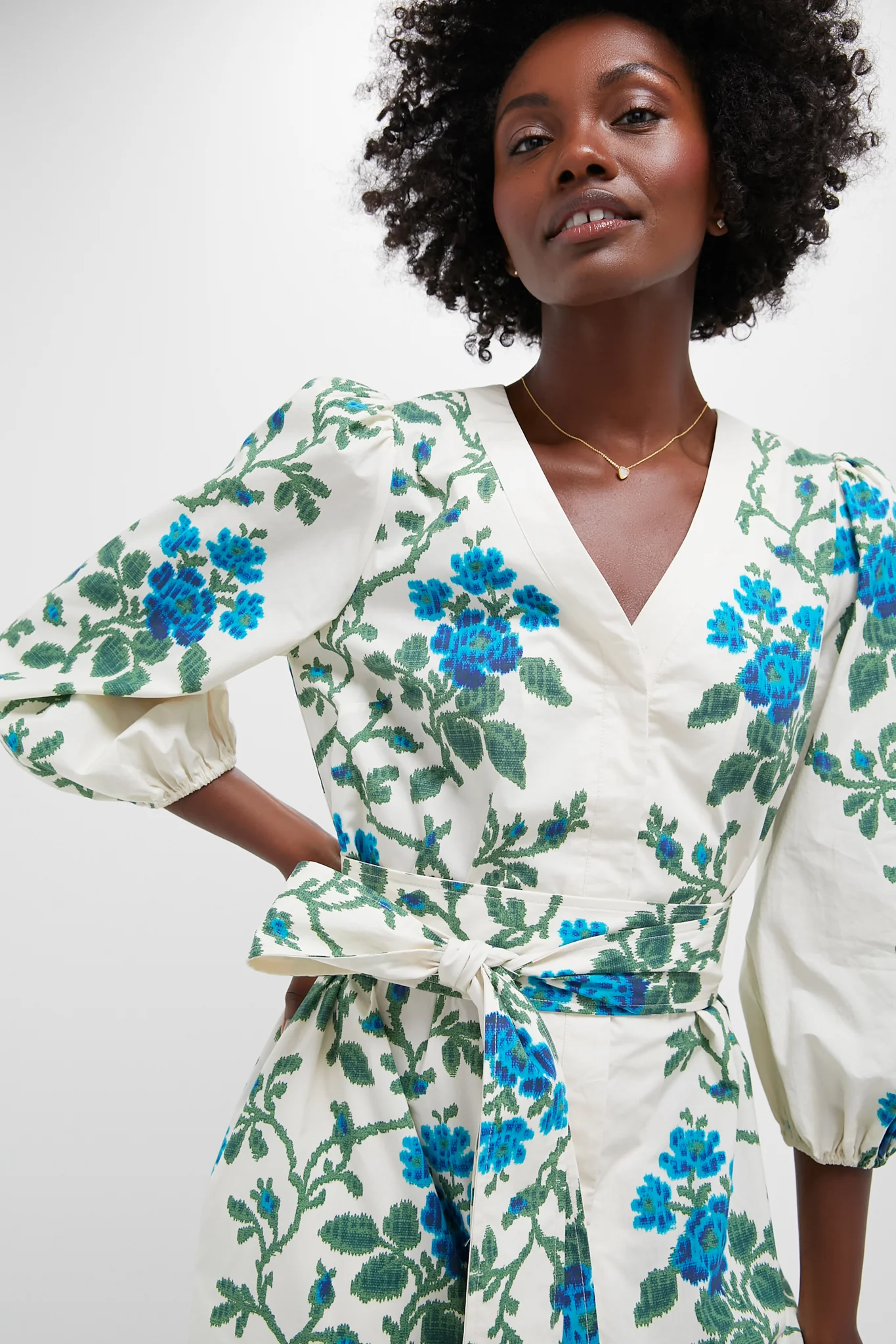 Cerulean Vine Cotton Poplin Lachlan Dress - Image 5
