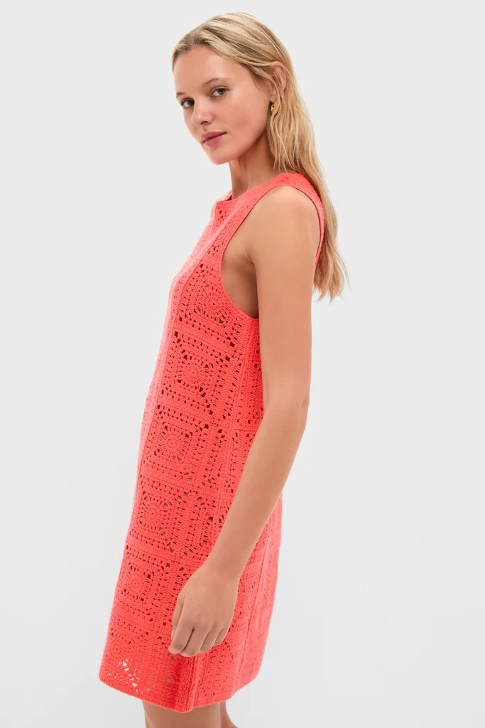 Coral Brenna Crochet Mini Dress - Image 4