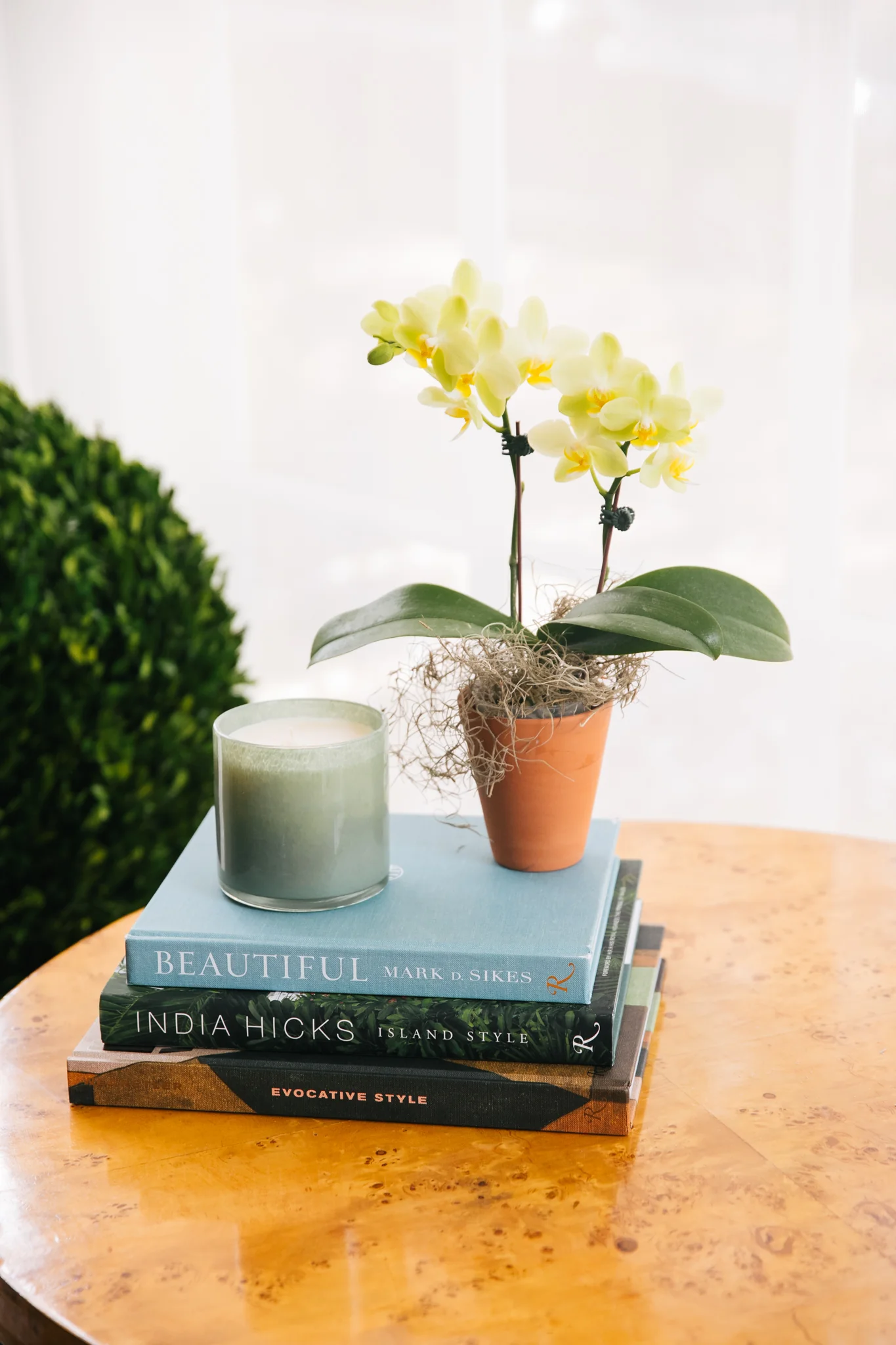 India Hicks: Island Style - Image 3
