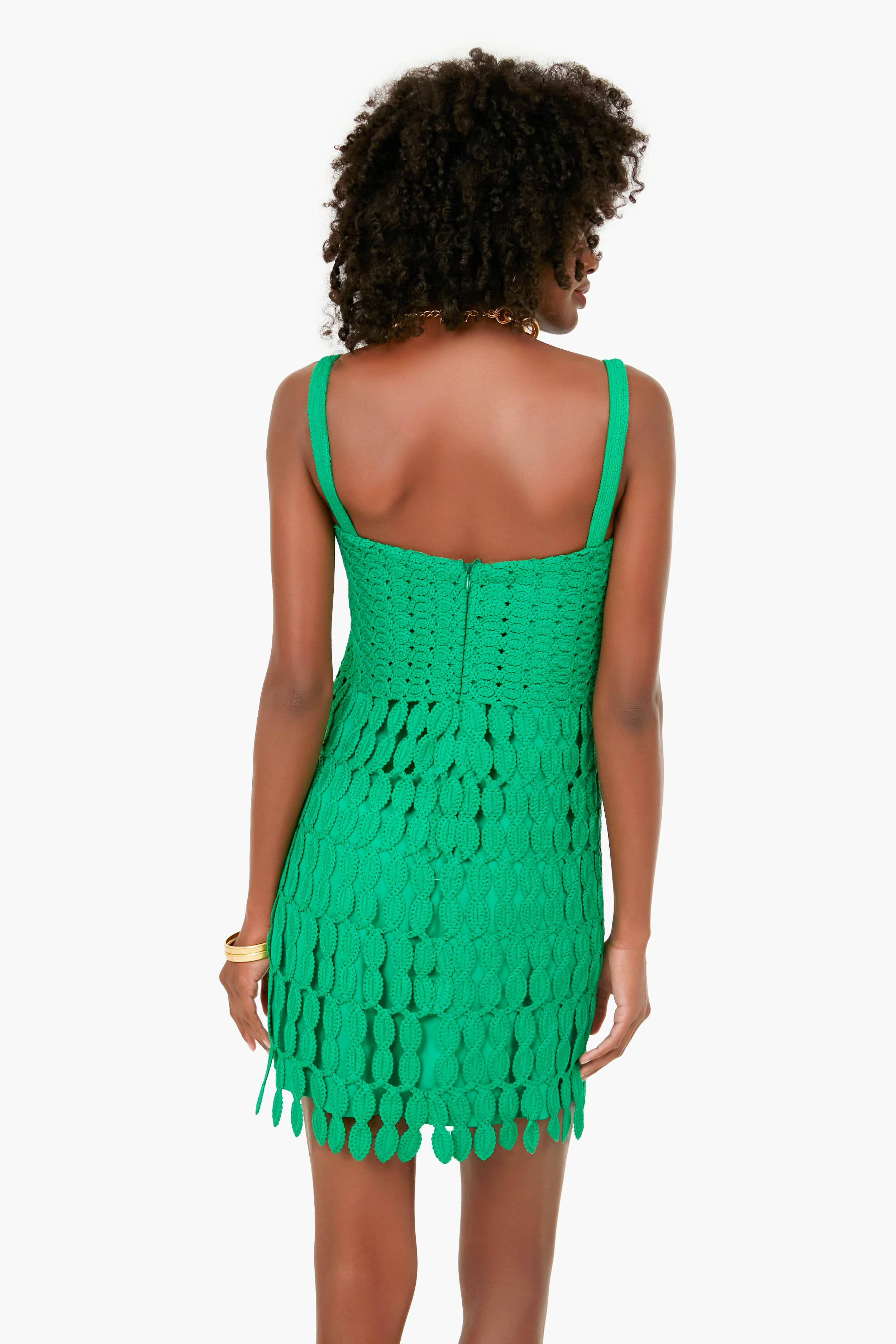 Parakeet Velies Dress - Image 4
