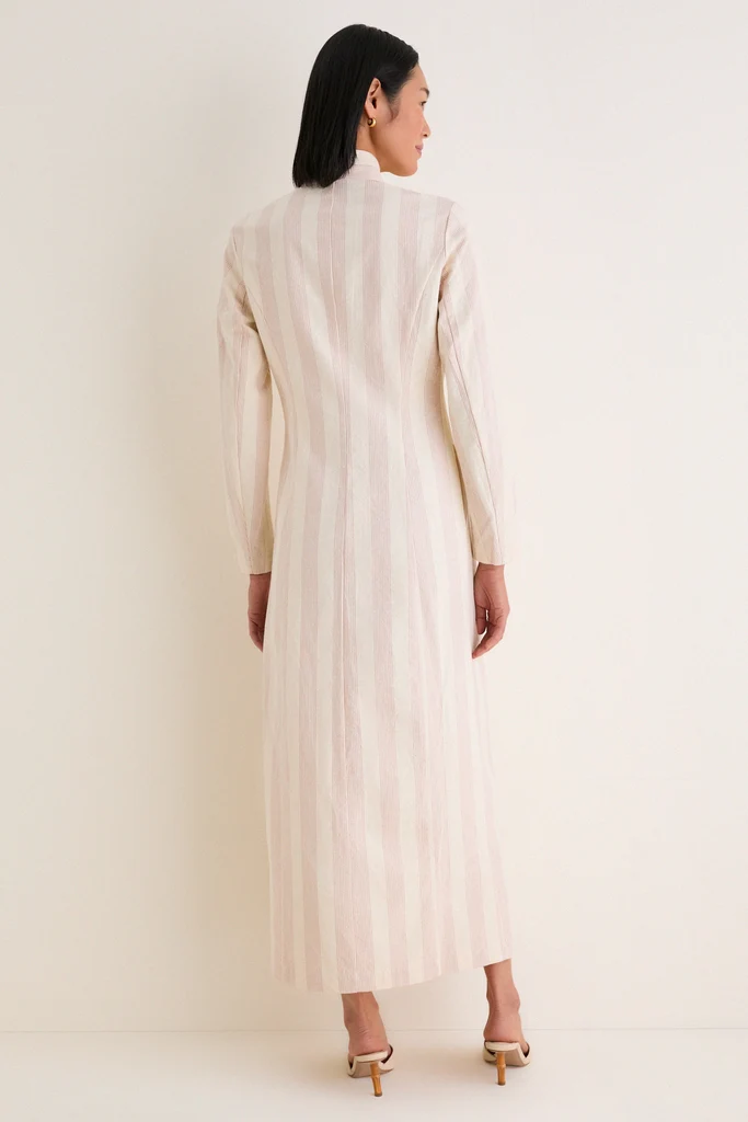 Parlor Stripe Cambridge Coat Dress - Image 5