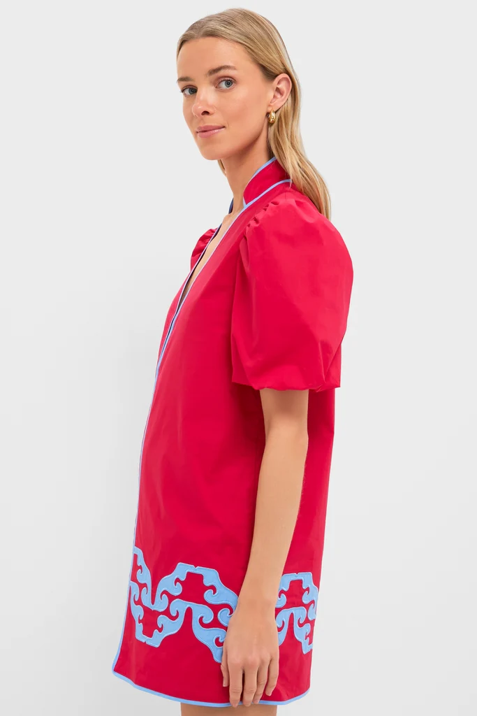 Red & Cornflower Blue Embroidered Arem Caftan - Image 4