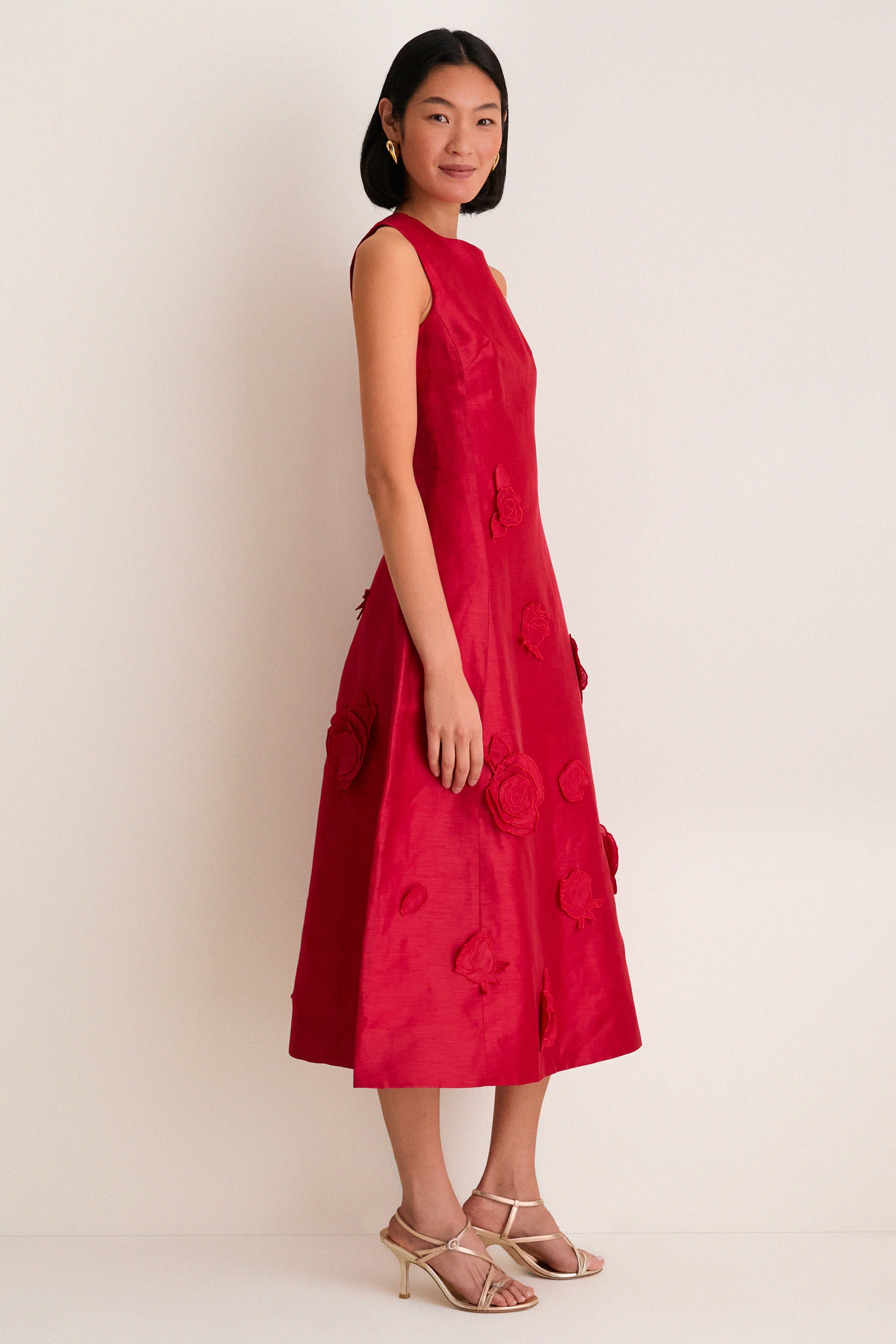 Scarlet Cleo Applique Midi Dress - Image 3
