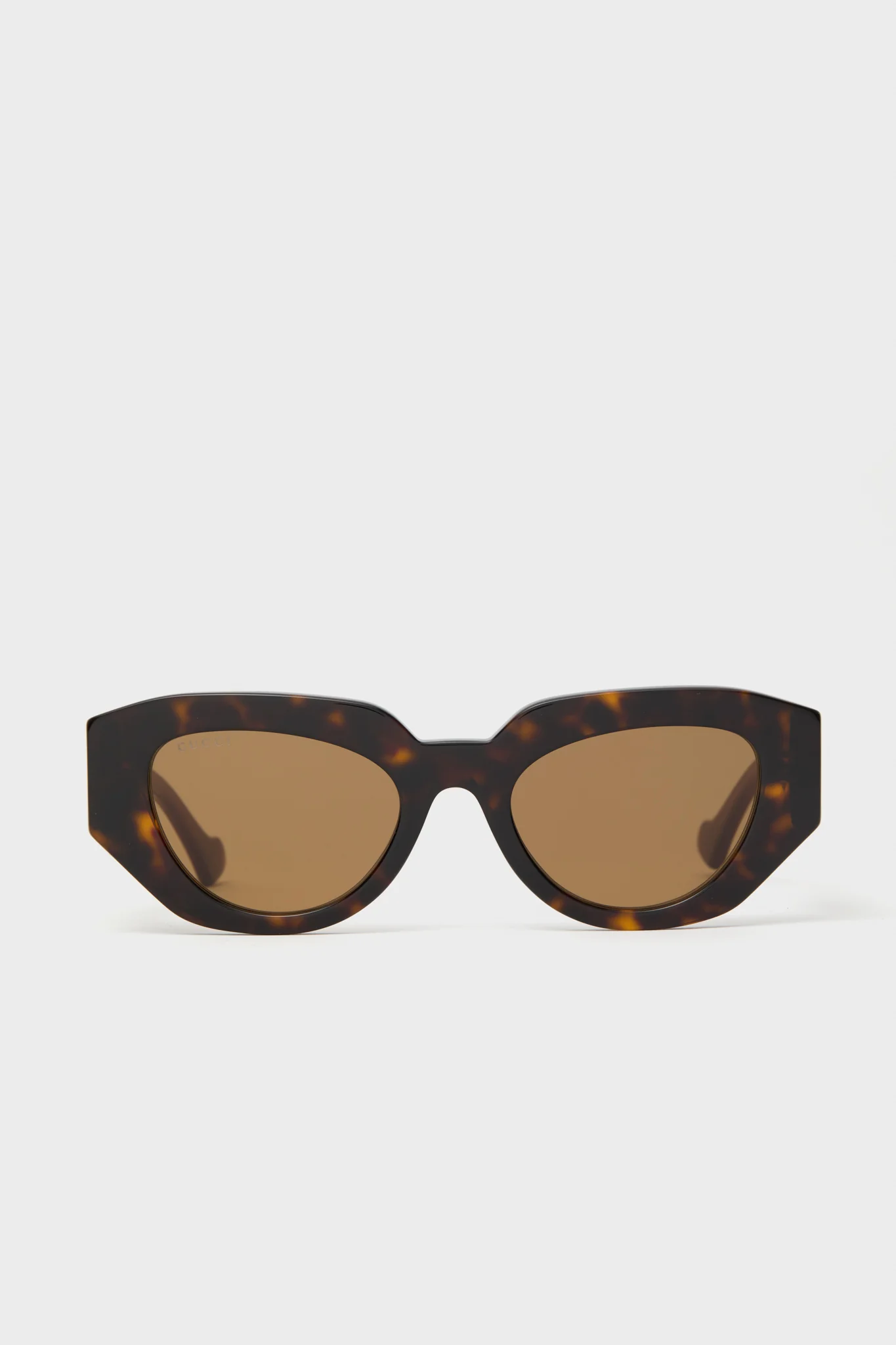 Shiny Dark Havana Cat-Eye Gucci Generation Sunglasses