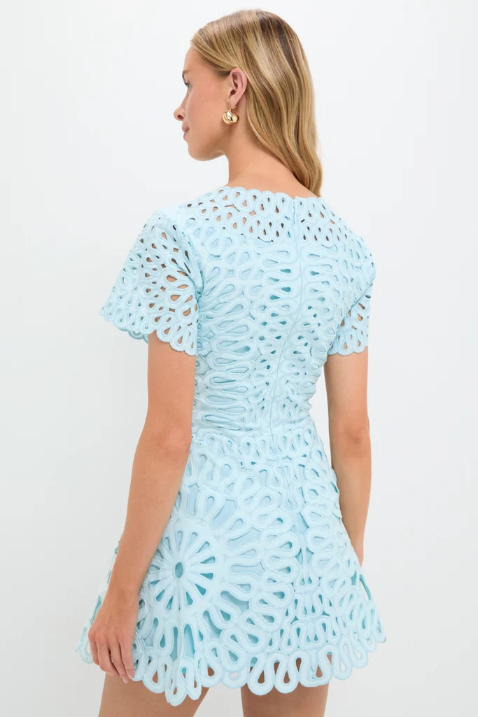 Sky Emrys Mini Dress - Image 4