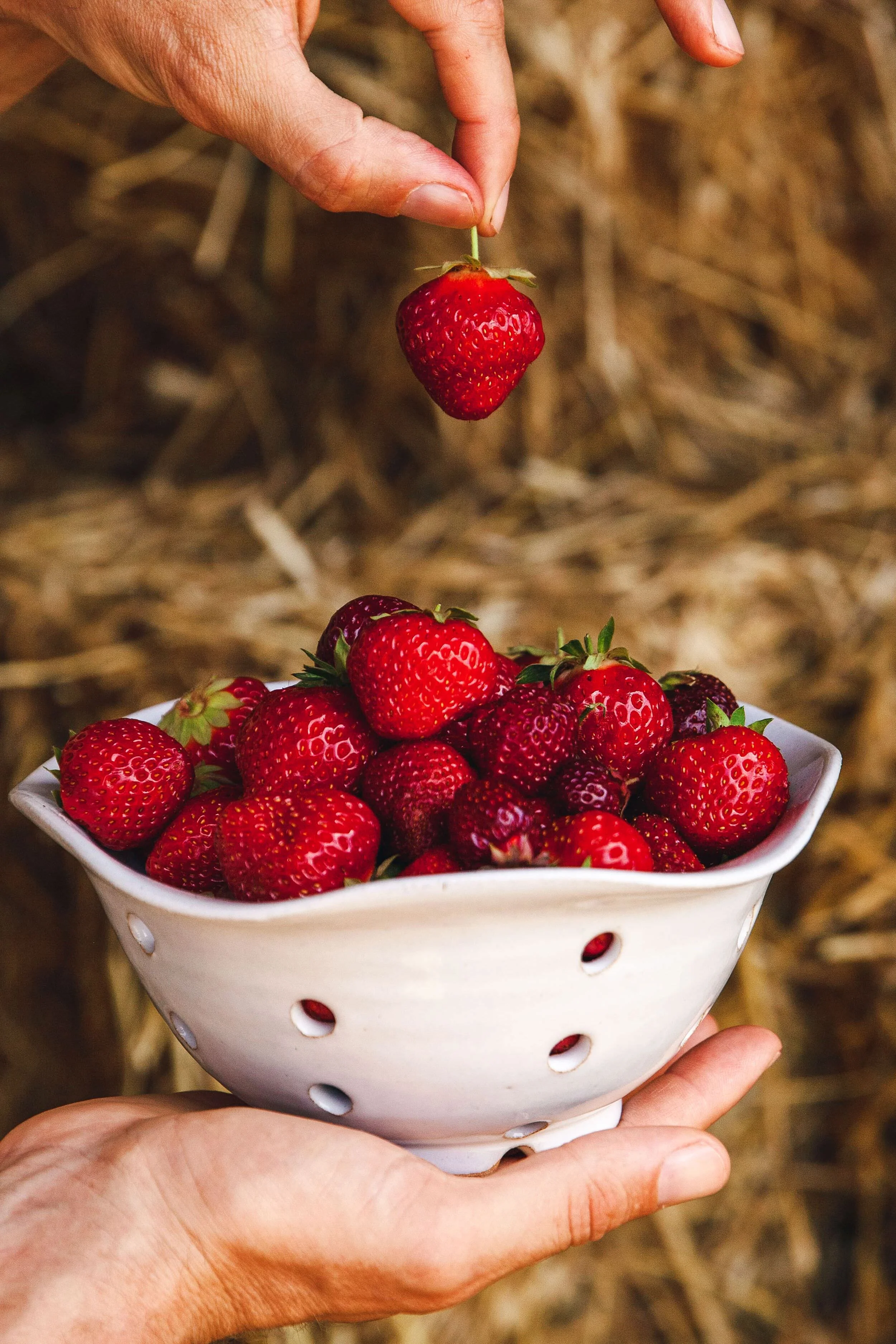 Windrow Berry Bowl - Image 2