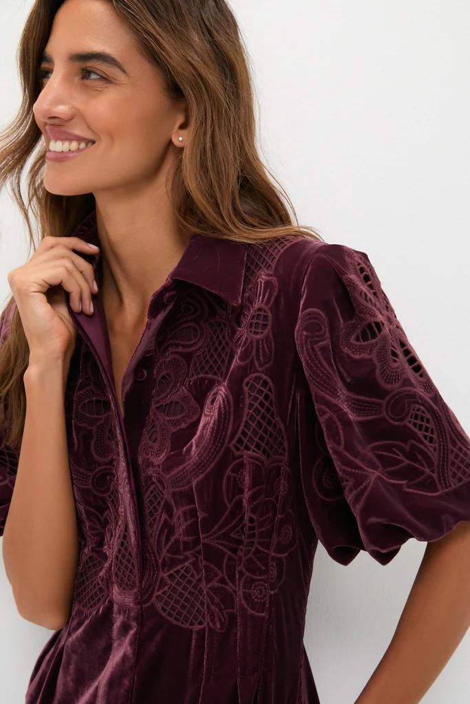 Winetasting Velvet Lace Delaney Dress - Image 5
