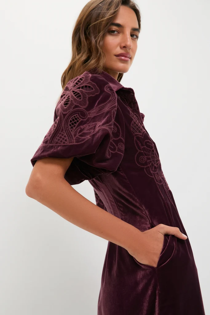 Winetasting Velvet Lace Delaney Dress - Image 6